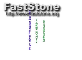 Mspy Pro Cracked